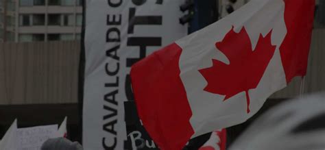 Cannabis Act, ACMPR, and More: Canadian Cannabis .
